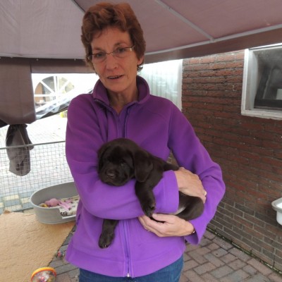 Anja Groenewoud